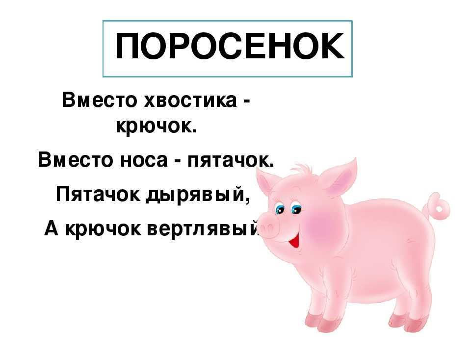 Чем кормить поросят в домашних условиях