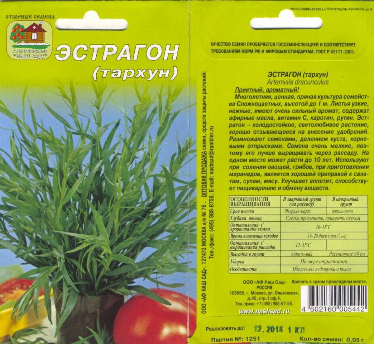 Эстрагон (тархун) — полезные свойства и вред, применение, выращивание и семена