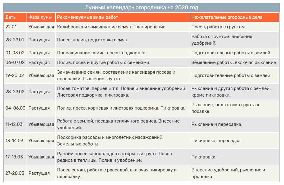 Пикировка томатов в апреле 2023 года по лунному календарю: благоприятные дни для пересаживания помидоров и правила проведения процедуры