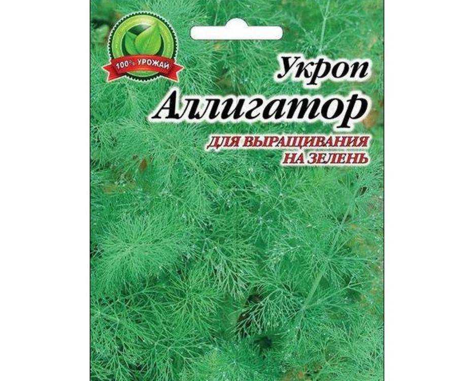 Укроп аллигатор: отзывы, фото, урожайность. как выращивать укроп аллигатор на зелень и семена