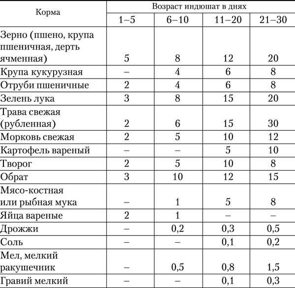 Выращивание бройлеров в домашних условиях для начинающих