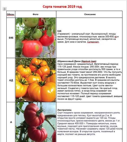 Лучшие сорта розовых (малиновых) томатов: топ-25 с фото, описаниями и характеристиками