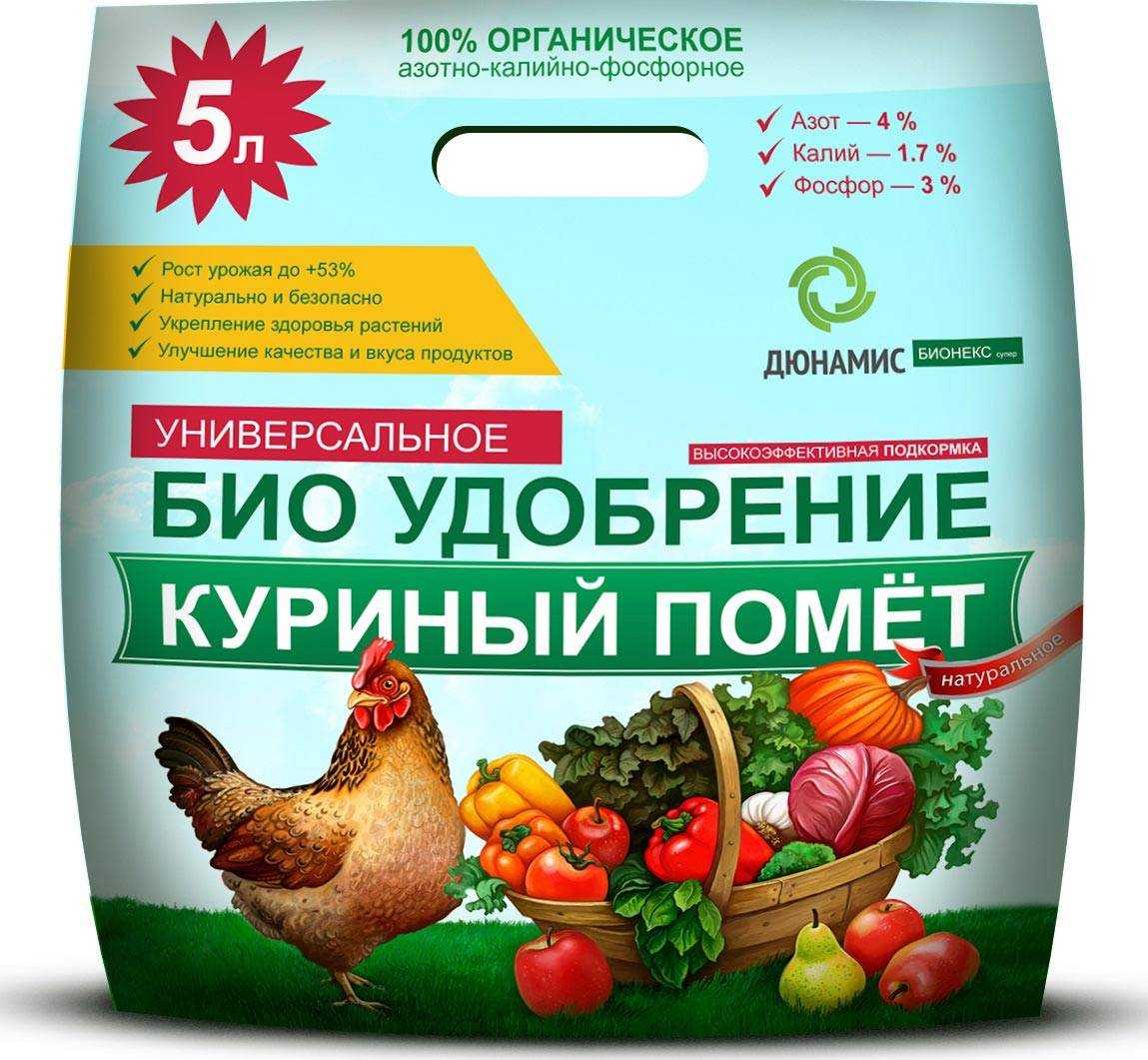11 способов подкормки клубники после плодоношения