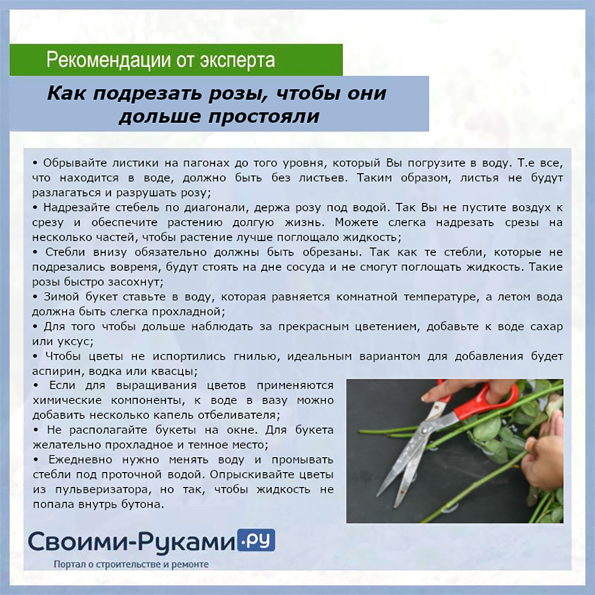 Как сохранить срезанные розы в вазе как можно дольше
