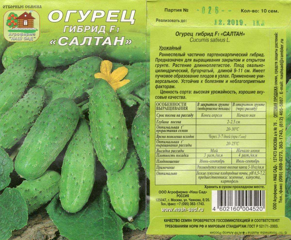 Сорт огурца алтай: фото, отзывы, описание, характеристики.