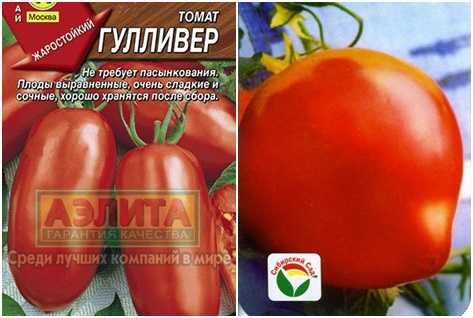 Томат "гулливер": описание сорта, отзывы, фото