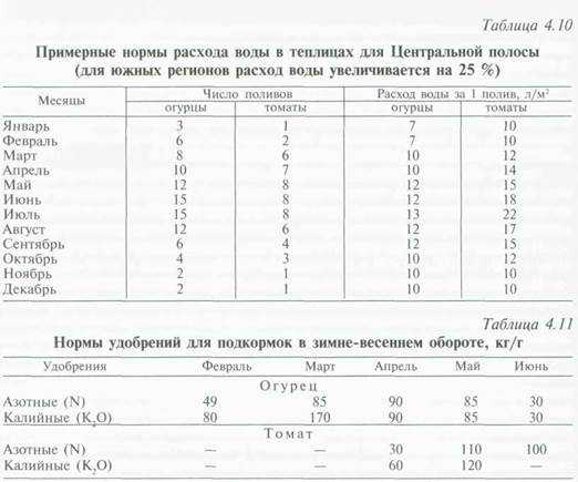Как часто поливать огурцы в теплице