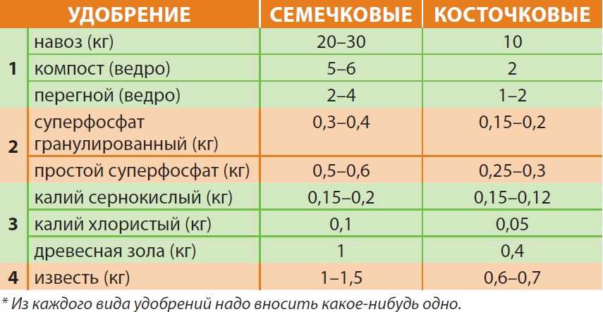 Чем подкормить морковь в открытом грунте: народные средства
