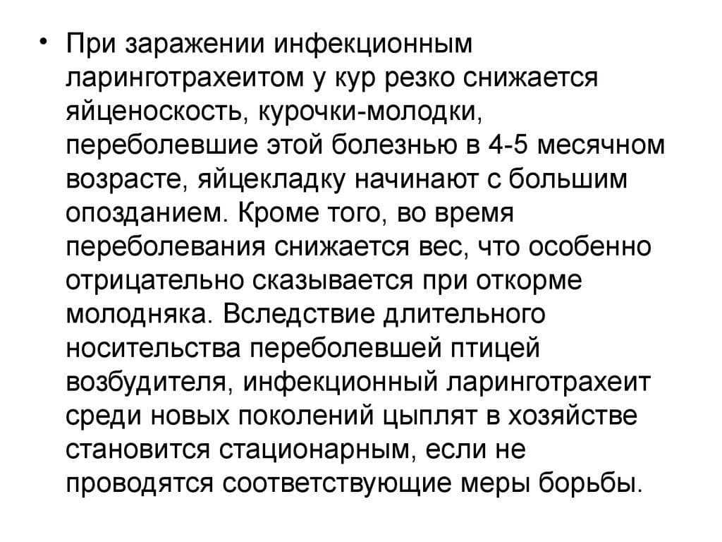 Йодинол для кур - инструкция по применению для птицы, синий йод в ветеринарии для животных, дозировка для цыплят-бройлеров
