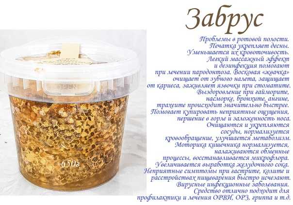 Отличительные особенности и польза меда белой акации