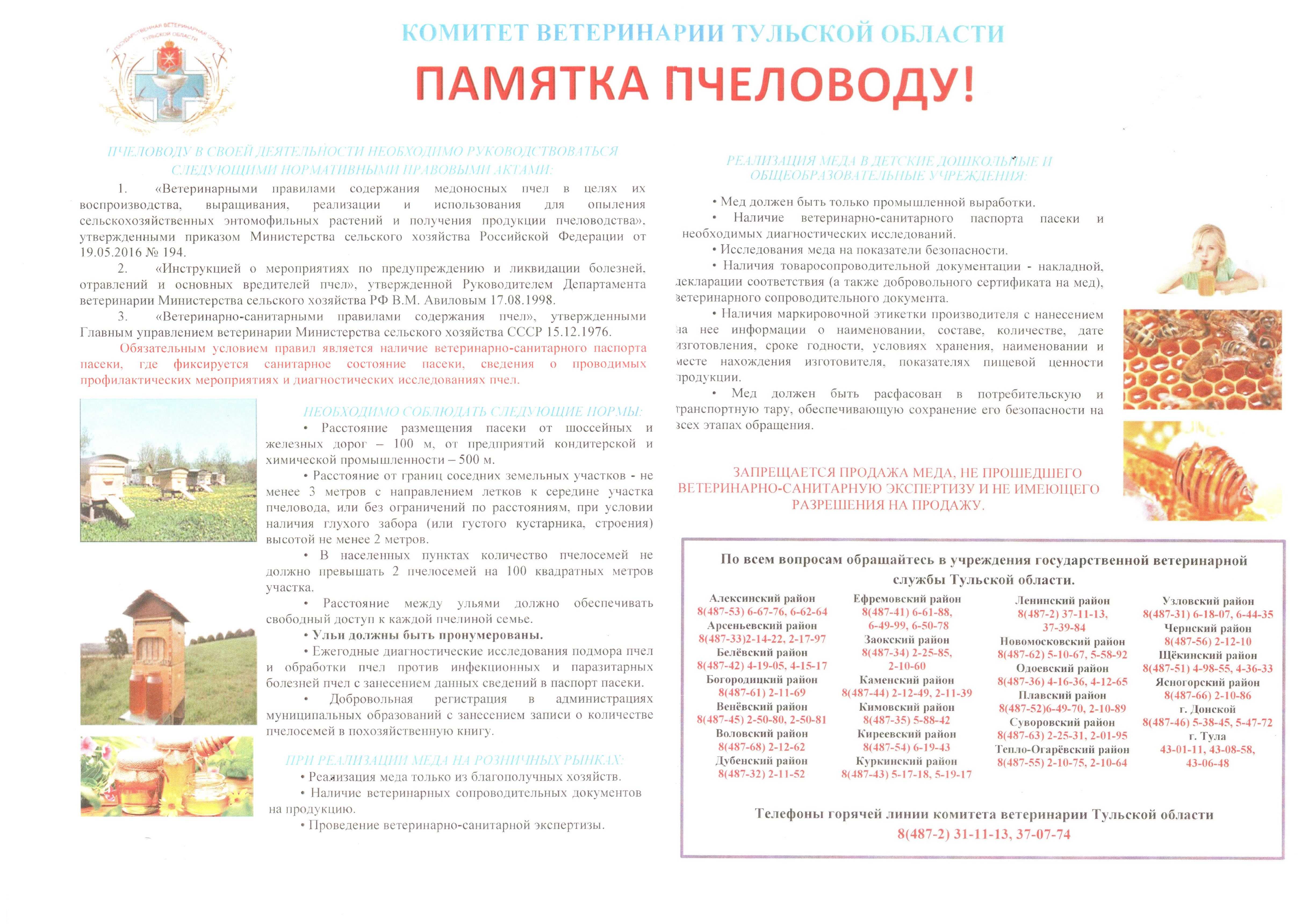 Пчеловодство для начинающих: с чего начать разведение пчел?