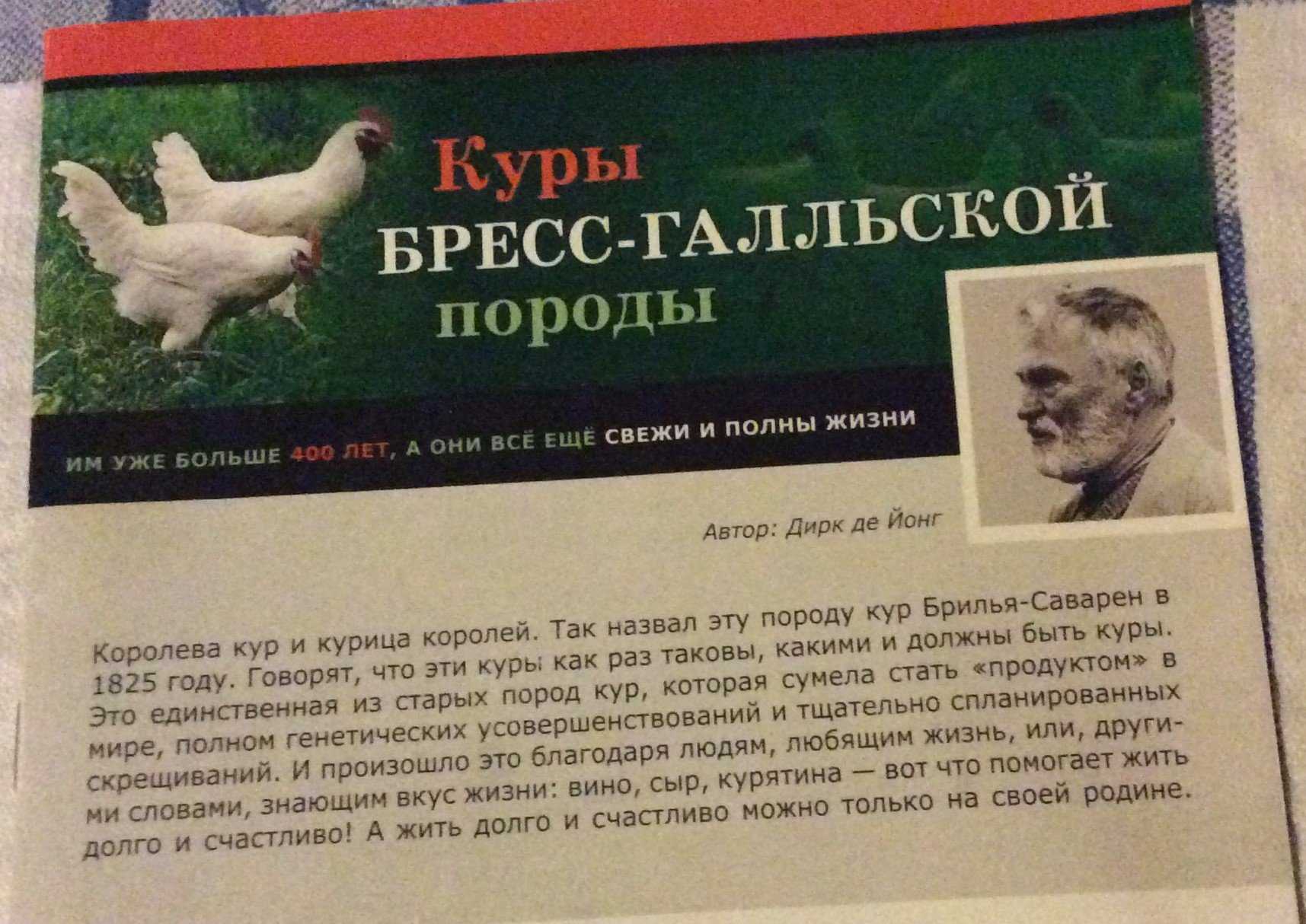 Бресс галльская порода кур — описание, особенности, уход, фото