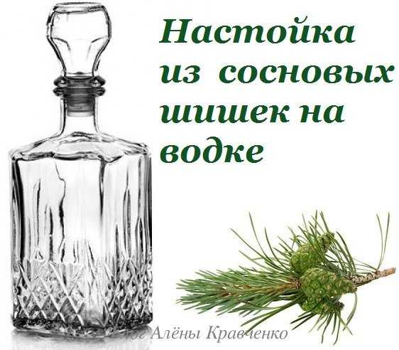 Туя - виды и сорта, названия и описание с фото