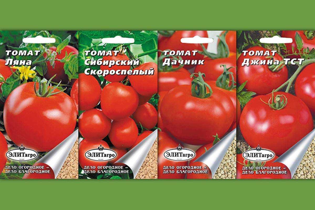 Томат джина — характеристика и описание сорта