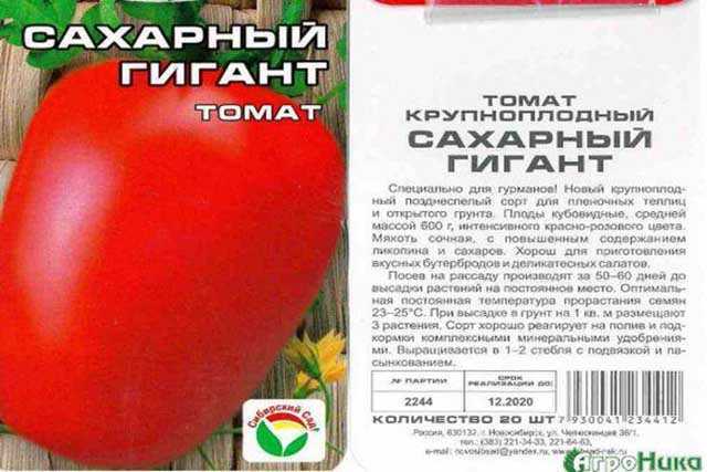 Томат сахарный гигант: отзывы (15), фото, урожайность | tomatland.ru