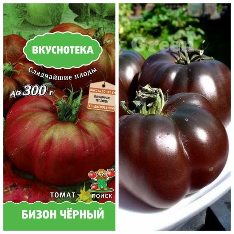 Томат сахарный бизон: характеристика и описание сорта, урожайность, фото и отзывы