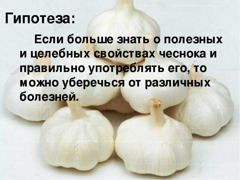 Чеснок: что это, как выглядит, где родина такого овоща, к какому семейству относится, когда убирают, какова урожайность посаженного под зиму с одного га или сотки?