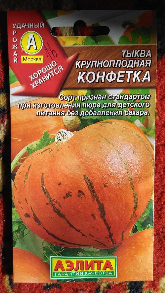 Тыква конфетка (карамелька): описание сорта, его преимущества и недостатки, отзывы тех, кто его выращивал и фото полученного урожая