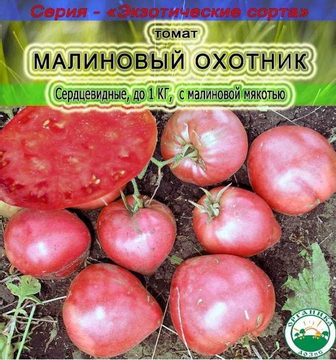 Описание томата малиновый звон и особенности выращивания сорта