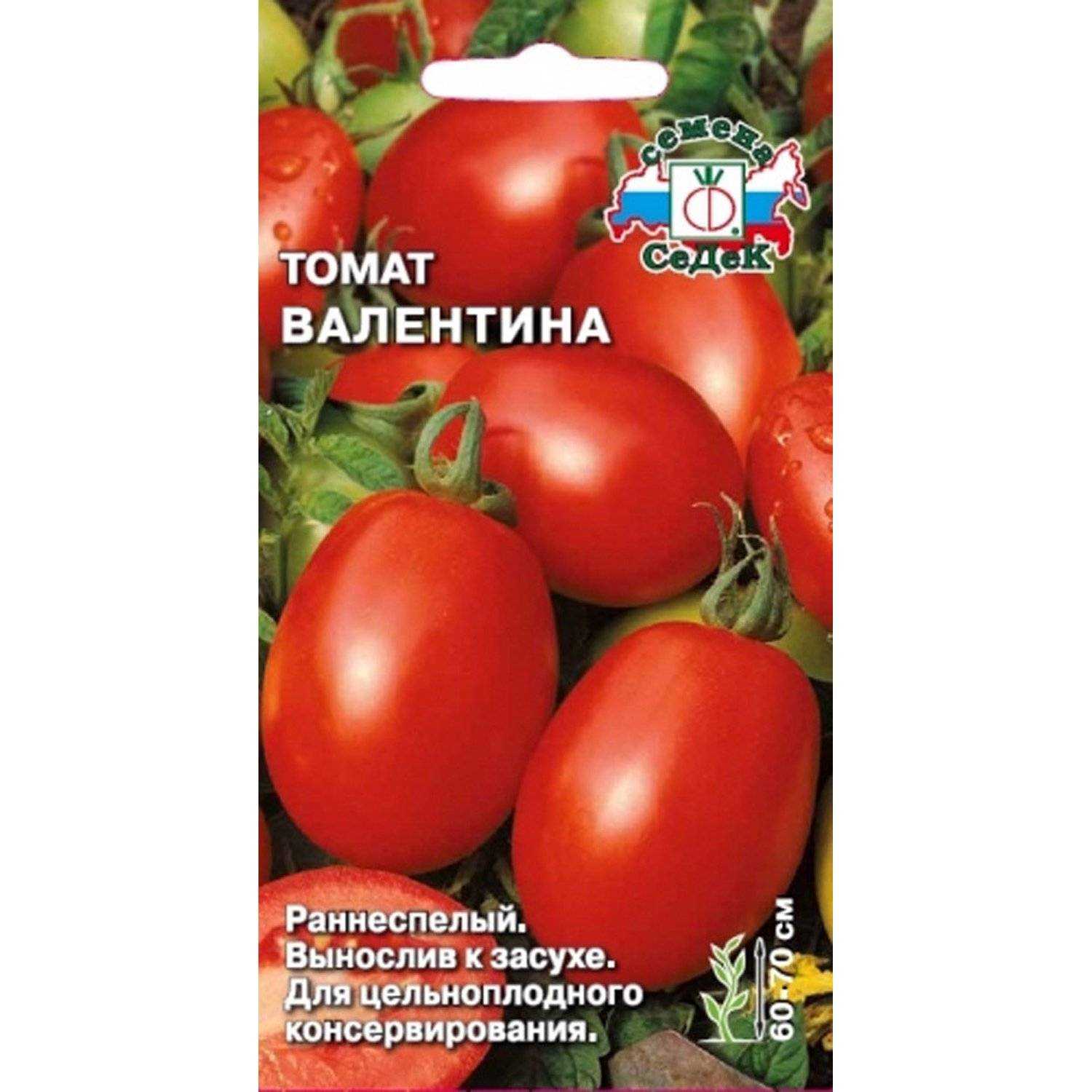 Томат валентина - описание сорта, характеристика, урожайность, отзывы, фото