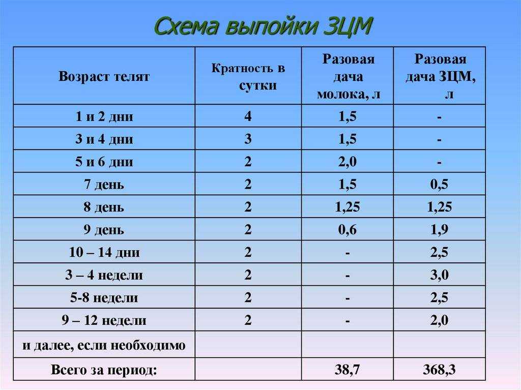 Откорм бычков