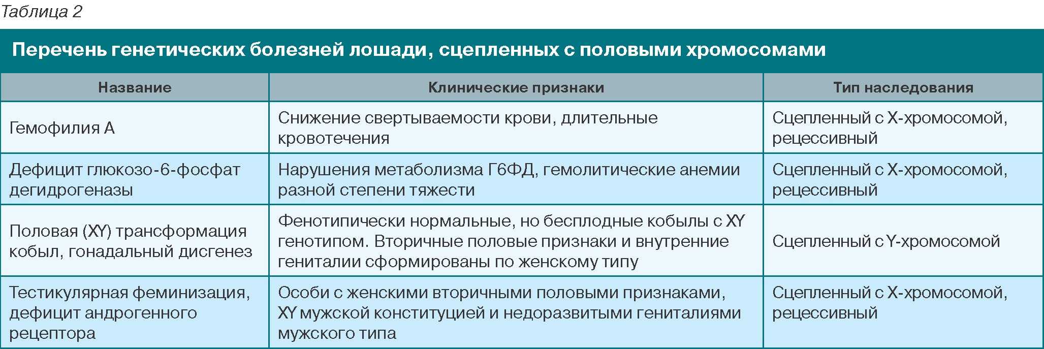 Распространённые заболевания лошадей и жеребят, их симптомы и способы лечение