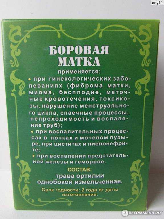 Боровая матка: общие сведения о лекарственном растении, показания, противопоказания и применение для лечения гинекологических заболеваний