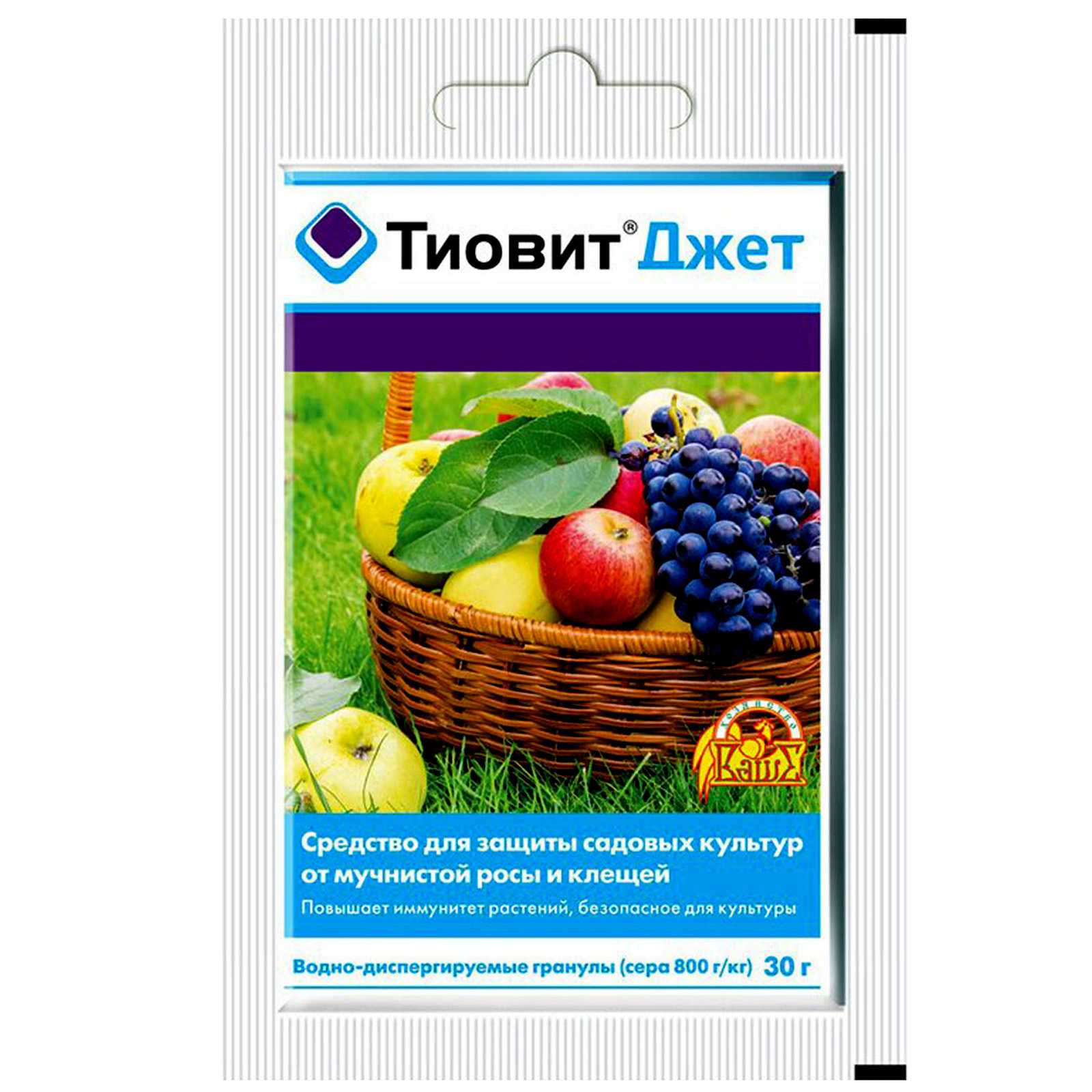 Многофункциональный препарат тиовит джет: когда обрабатывать виноградник и другие растения