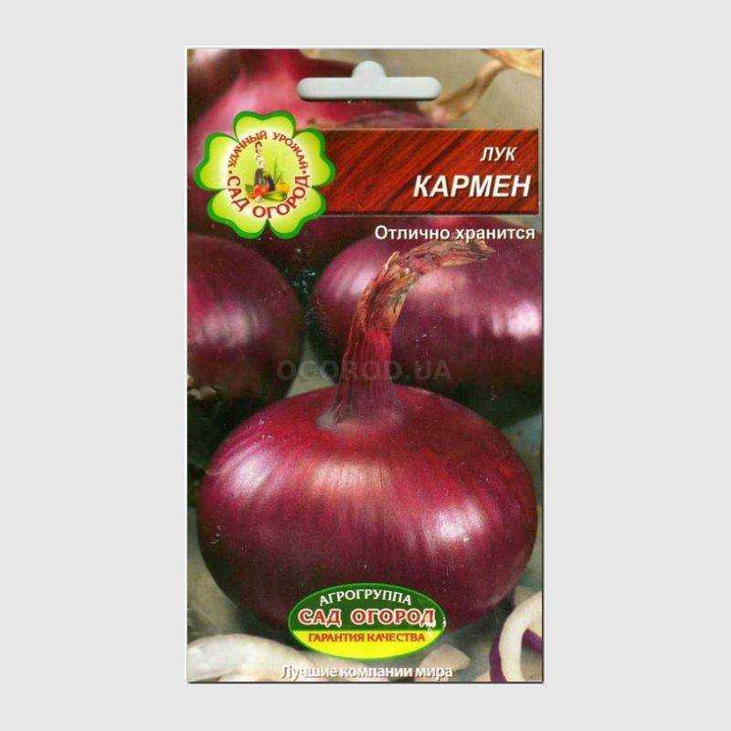 Лук кармен: описание сорта, фото, отзывы, урожайность, посадка и уход, достоинства и недостатки и особенности выращивания