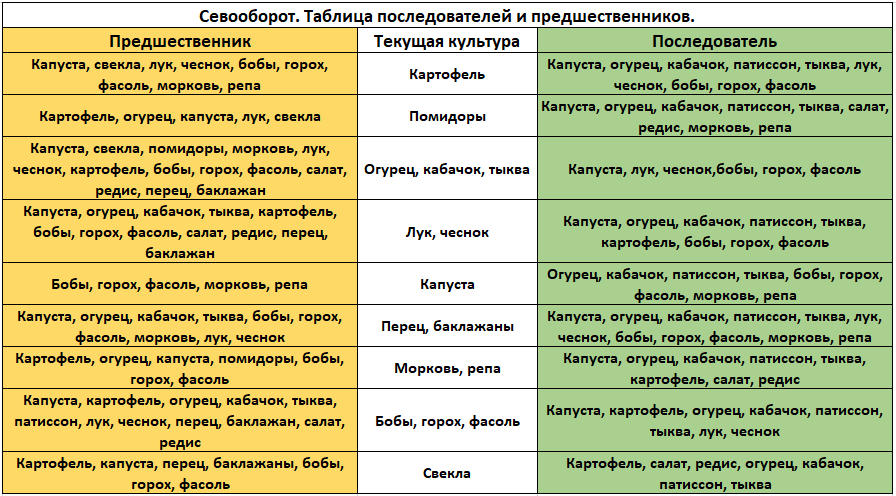 Что можно сажать после лука на следующий год