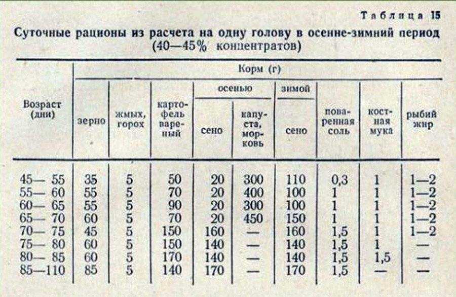 Как крольчиха кормит крольчат: сколько раз в сутки, сколько дней: советы опытных кролиководов. когда можно отсаживать? сколько крольчат способна вскормить крольчиха. как вообще определить сыты ли крол