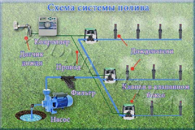 Автоматический полив газона своими руками - без забот и хлопот