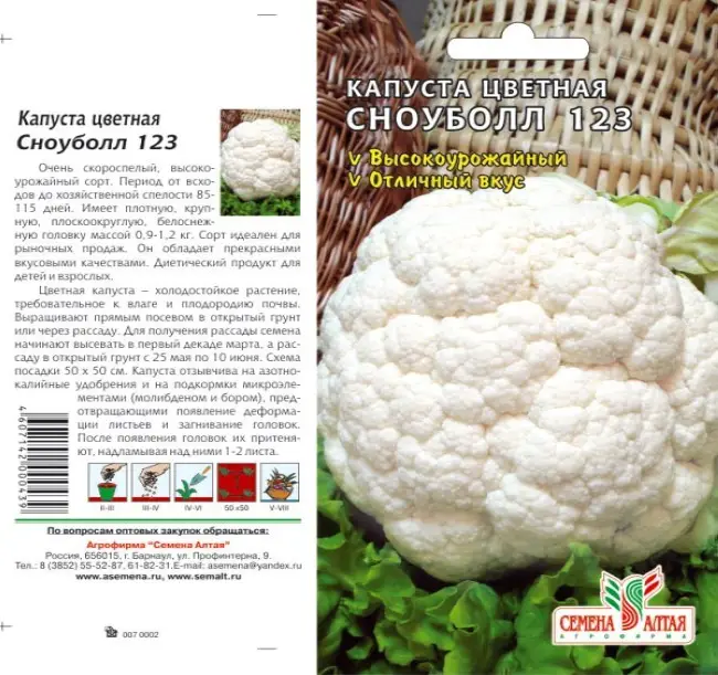Цветная капуста: сорта, посадка, выращивание и уход, хранение . фото — ботаничка