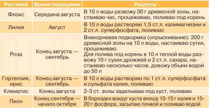 Гладиолусы: выращивание в саду, когда выкапывать и как хранить