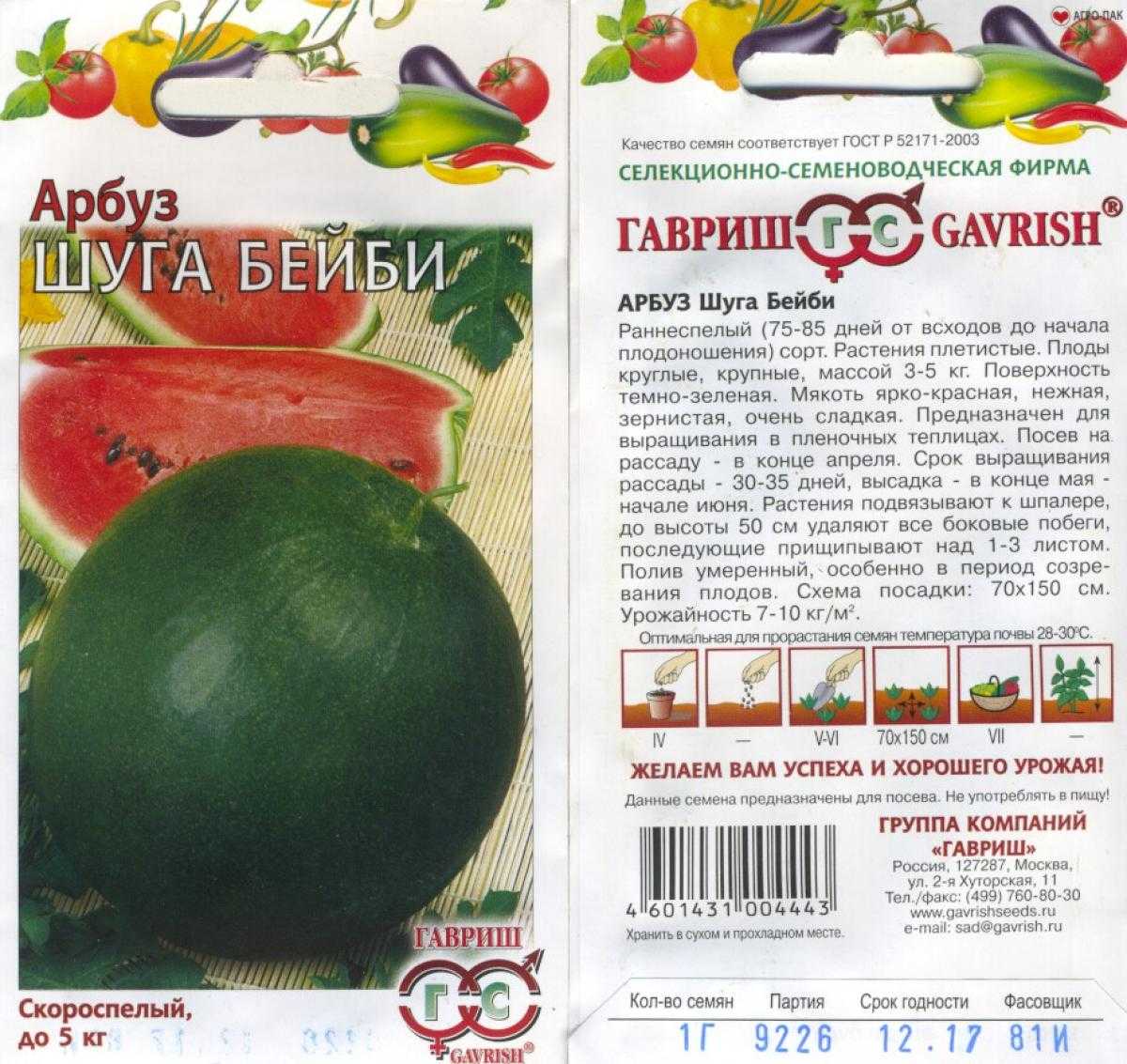 Как вырастить настоящие арбузы в сибири, лучшие для региона сорта | садоводство24