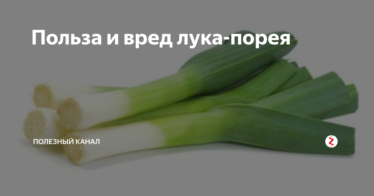 Лук-порей: выращивание на огороде из семян