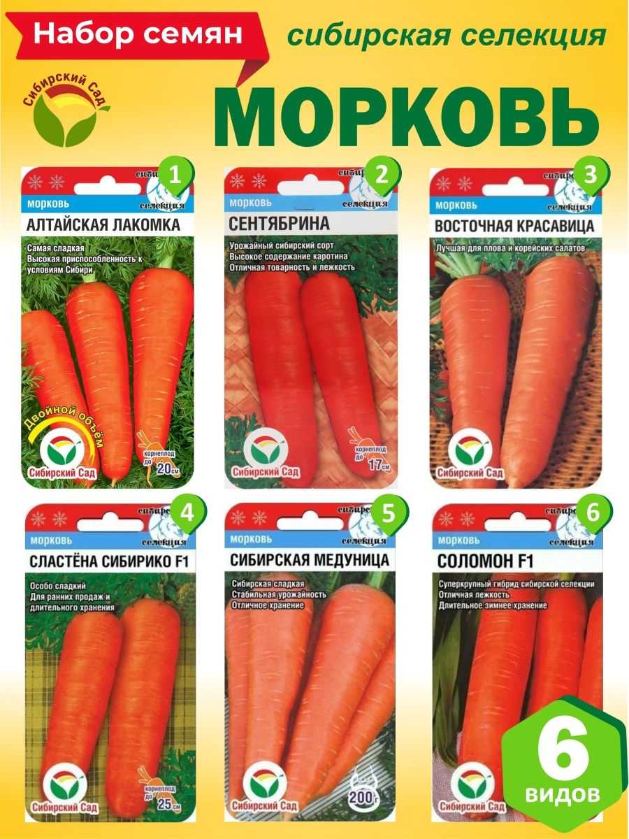 Сорта моркови на supersadovnik.ru
