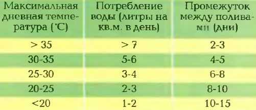 Система автоматического полива газона: монтаж и устройство, основные характеристики и типы необходимого оборудования