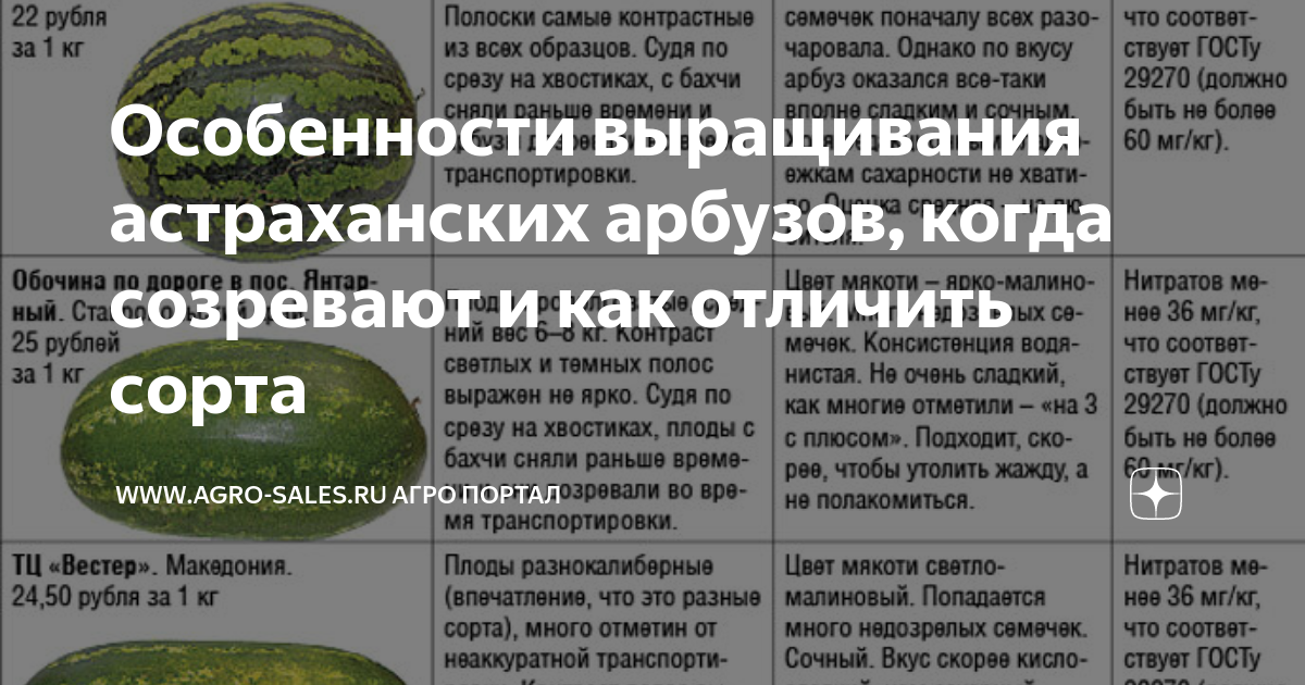 Арбуз сорта астраханский: описание сорта, посадка и выращивание, уход, ошибки