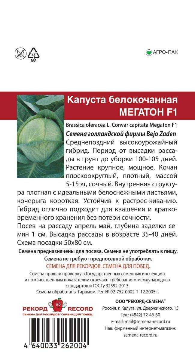 Капуста мегатон: описание и характеристика сорта, особенности посадки, выращивания и ухода + отзывы огородников
