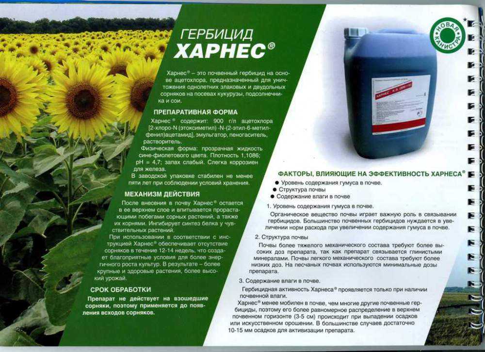 Гербицид по кукурузе: обработка после всходов, выбор почвенного препарата