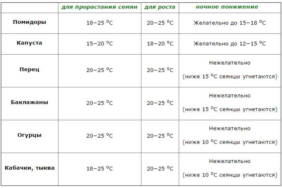 Как сажать кабачки: все секреты и хитрости посадки - дачные советы