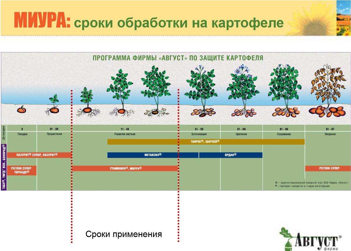 Мульчирование почвы скошенной травой: нюансы подготовки мульчи и ее применения для разных культур