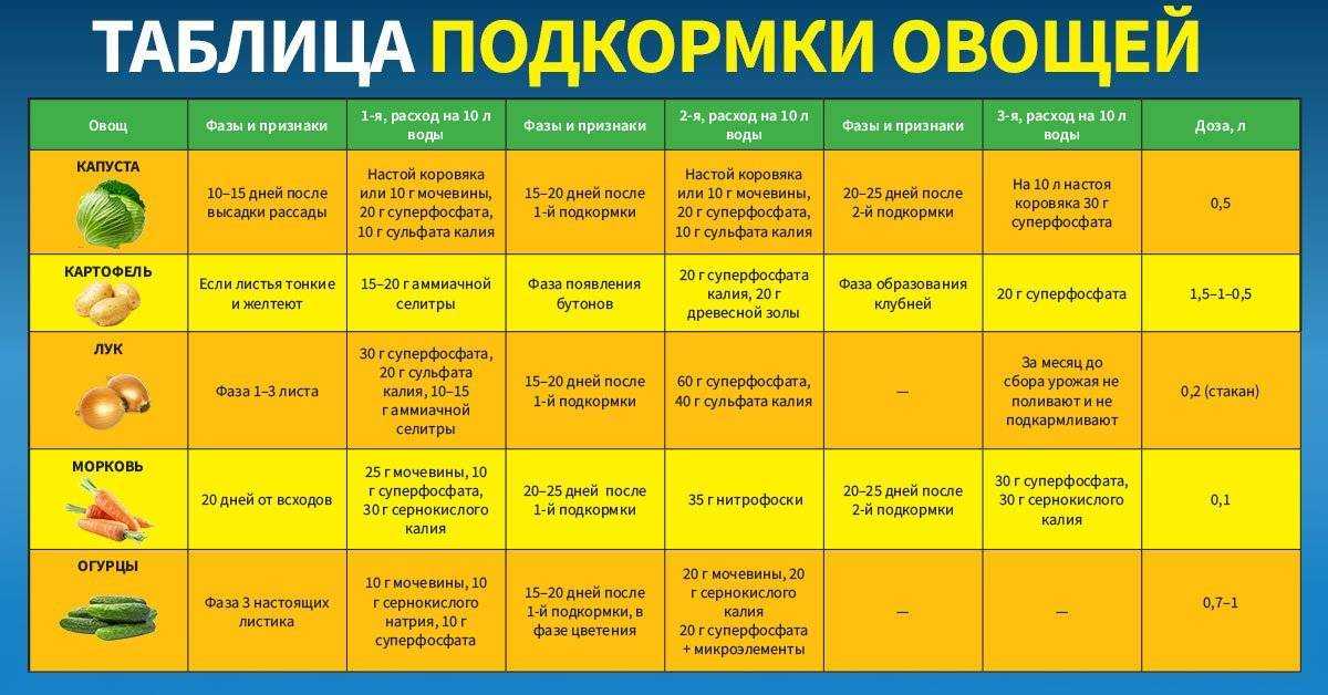 Подкормка томатов (помидоров) в теплице – какие удобрения и когда использовать