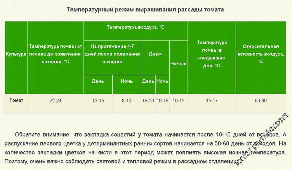Помидоры в теплице - какая температура должна быть?
