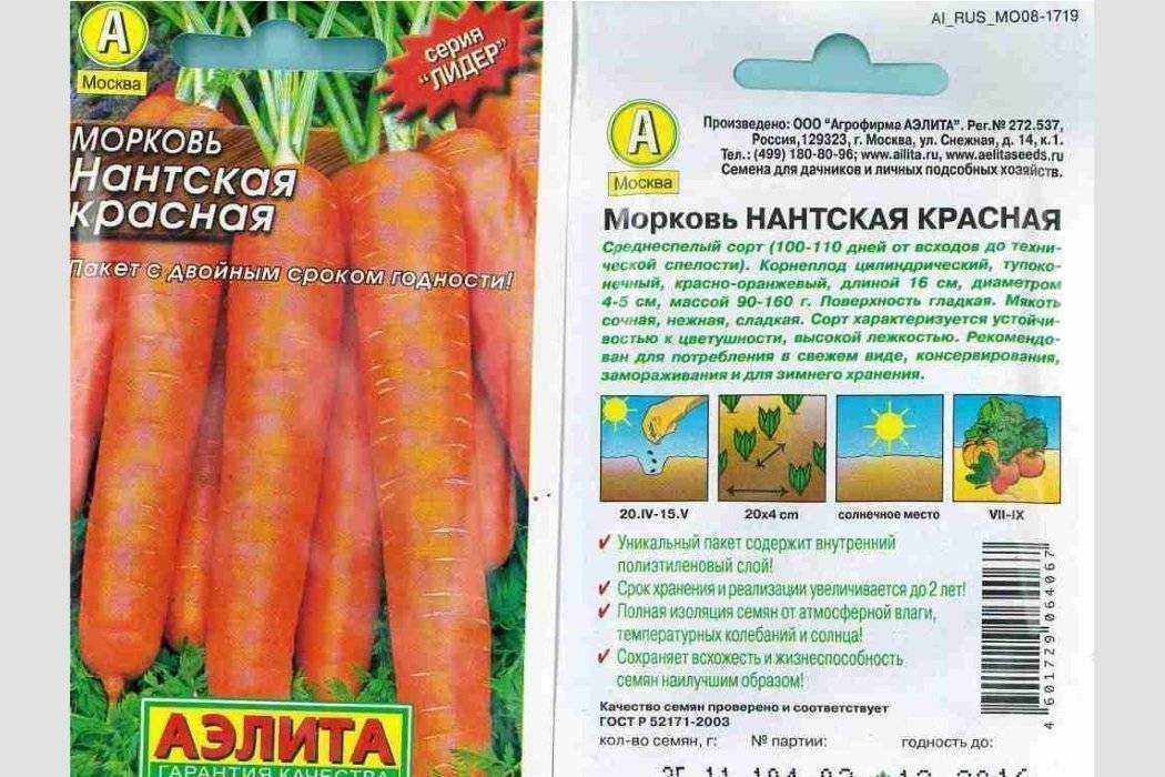 Нантская 4: описание сорта моркови, характеристики, агротехника
