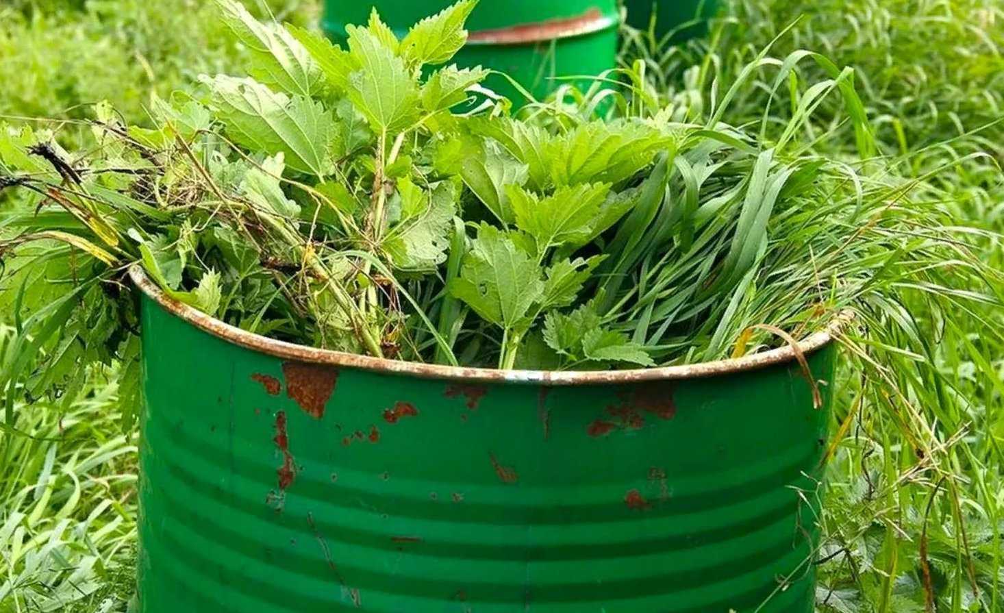 Компост из скошенной травы: как сделать удобрение