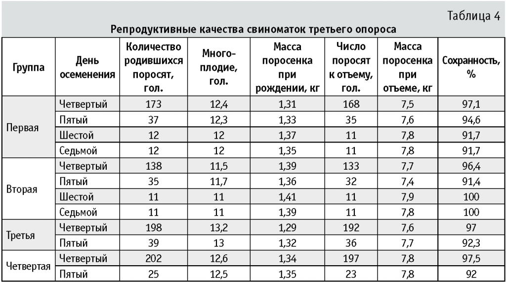 Случка свиней — агроxxi