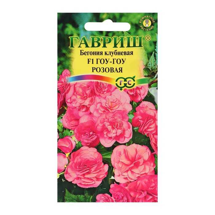 Декоративно-лиственные бегонии