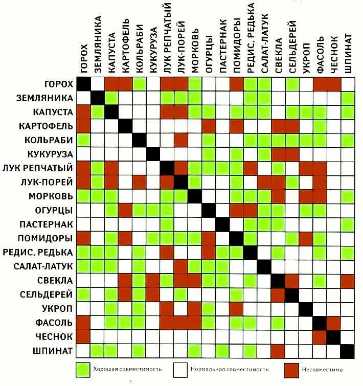 Таблица совместимости растений для смешанных посадок - дачные